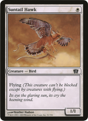 Suntail Hawk (Oversized) [Eighth Edition Box Topper]